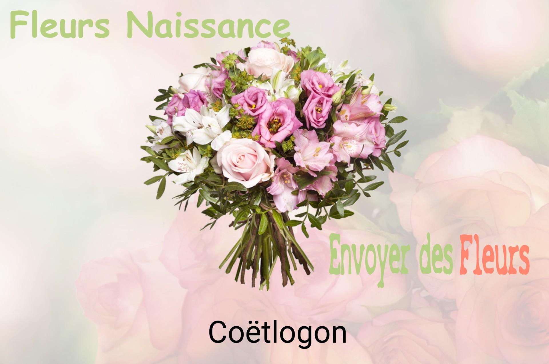 Bouquet de fleurs de naissance livré à Coëtlogon