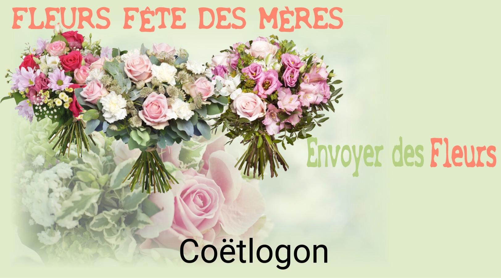 Bouquet de Fête des Mères livré à Coëtlogon